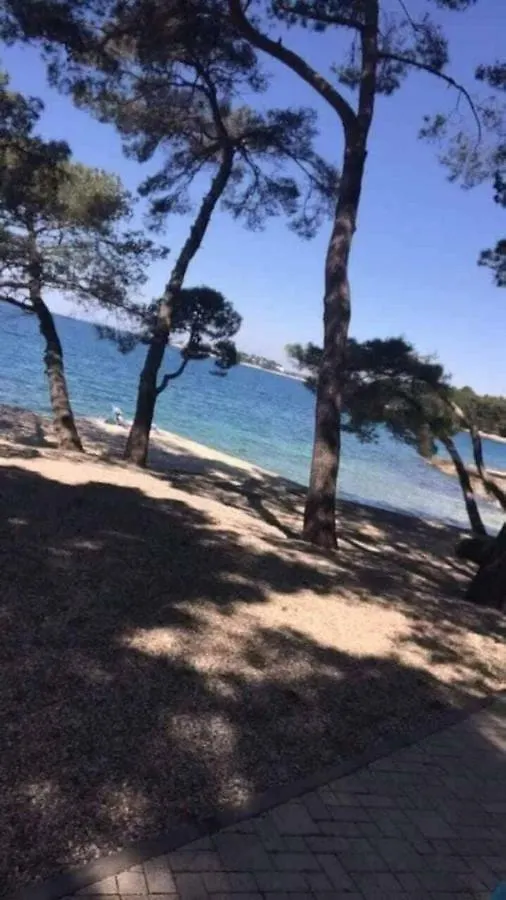 Apartments Flora Porec Croatia